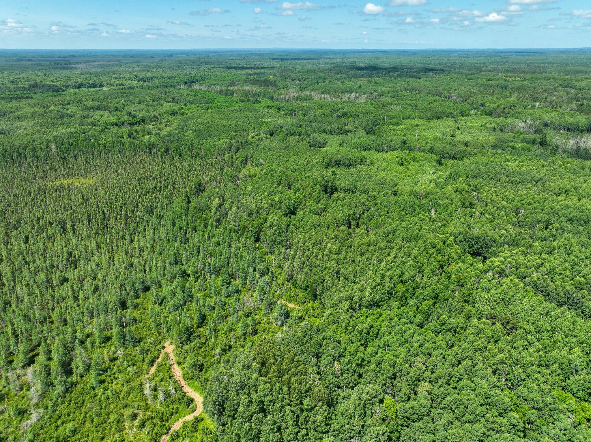land for sale at TBD Sago 5 in Swan River, MN (photo 10 of 22)