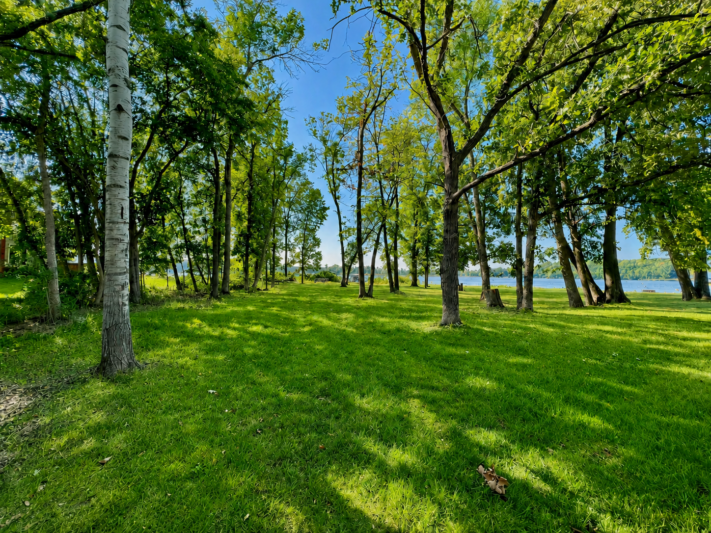 2000 twin home for sale at 1815 Bridgeview Boulevard in Detroit Lakes, MN — 2 bed, 2 bath (photo 37 of 39)