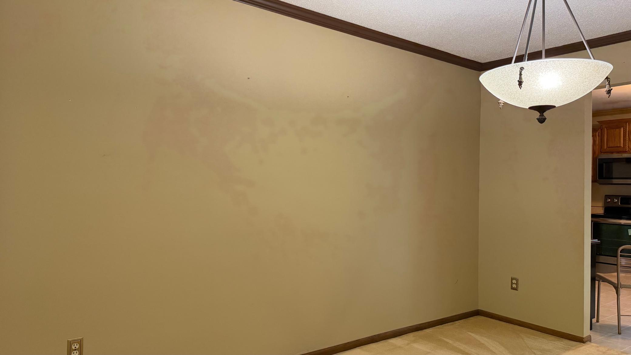 1960 single family home for sale at 819 S Martin Street in Fergus Falls, MN — 3 bed, 2 bath (photo 10 of 60)