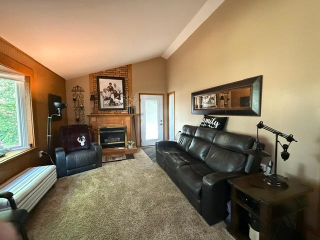 1938 single family home for sale at 205 3rd Street W in Brandon, MN — 3 bed, 1 bath (photo 31 of 36)