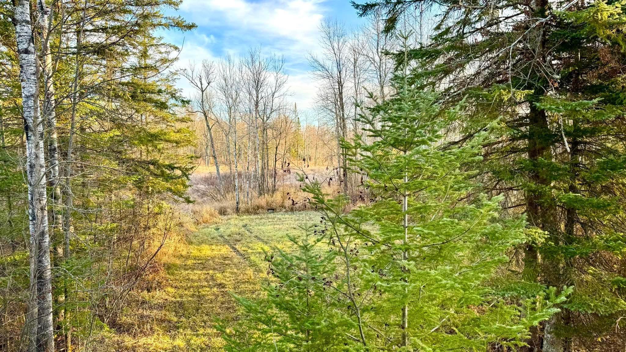 land for sale at 16794 Driftwood Street in McGregor, MN (photo 2 of 11)