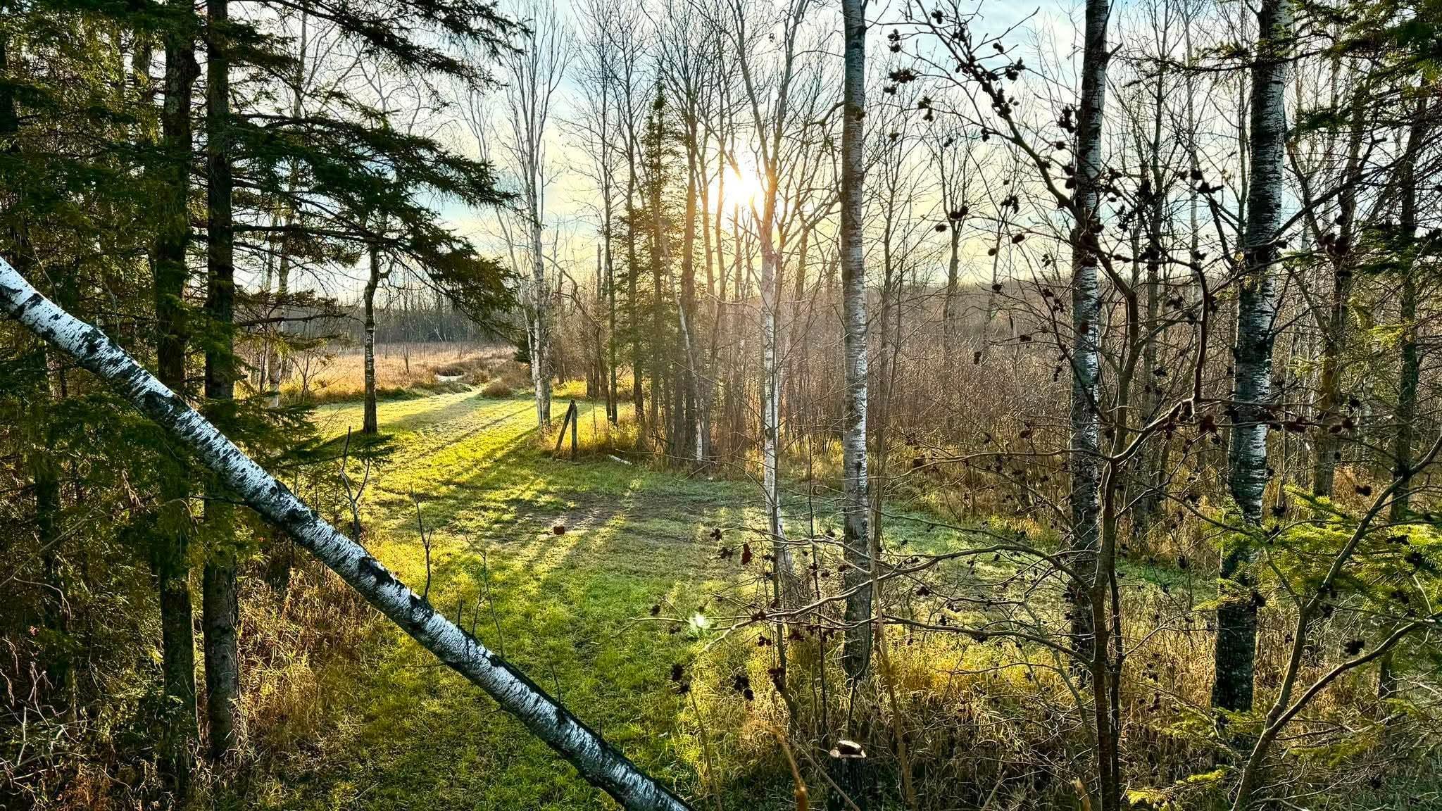 land for sale at 16794 Driftwood Street in McGregor, MN (photo 3 of 11)