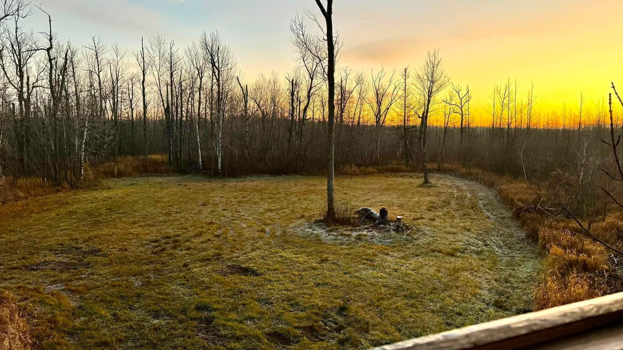 land for sale at 16794 Driftwood Street in McGregor, MN (photo 4 of 11)