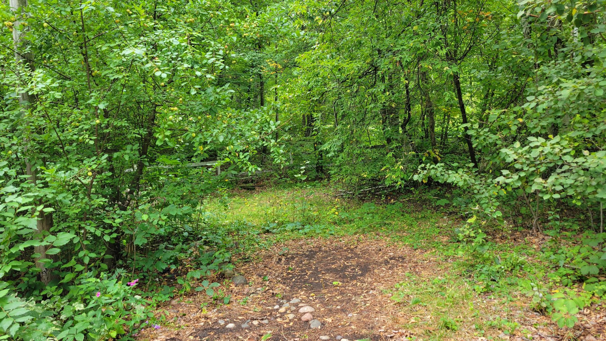 1971 single family home for sale at 27600 W Twin Lake Drive in Pequot Lakes, MN — 3 bed, 2 bath (photo 11 of 35)