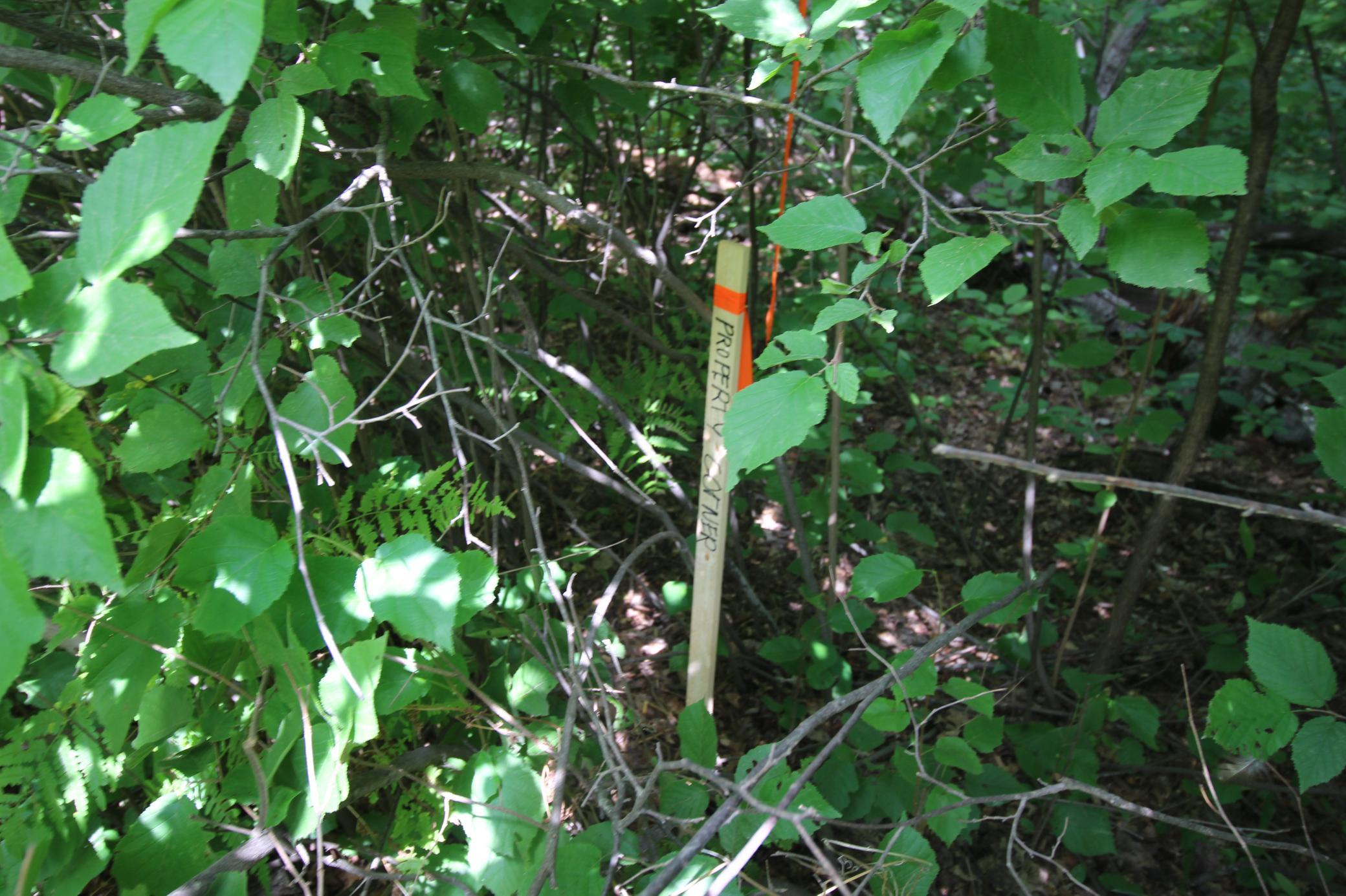 land for sale at Lots 60, 61, 62 Sun Valley Pass in Breezy Point, MN (photo 4 of 12)