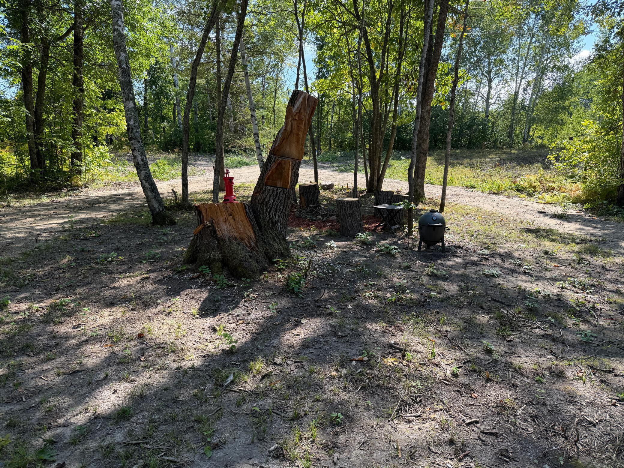 land for sale at 6831 State 34 NW in Akeley, MN (photo 12 of 28)