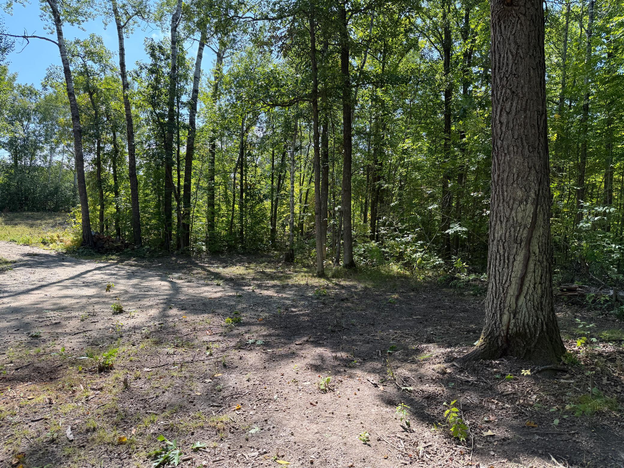 land for sale at 6831 State 34 NW in Akeley, MN (photo 16 of 28)