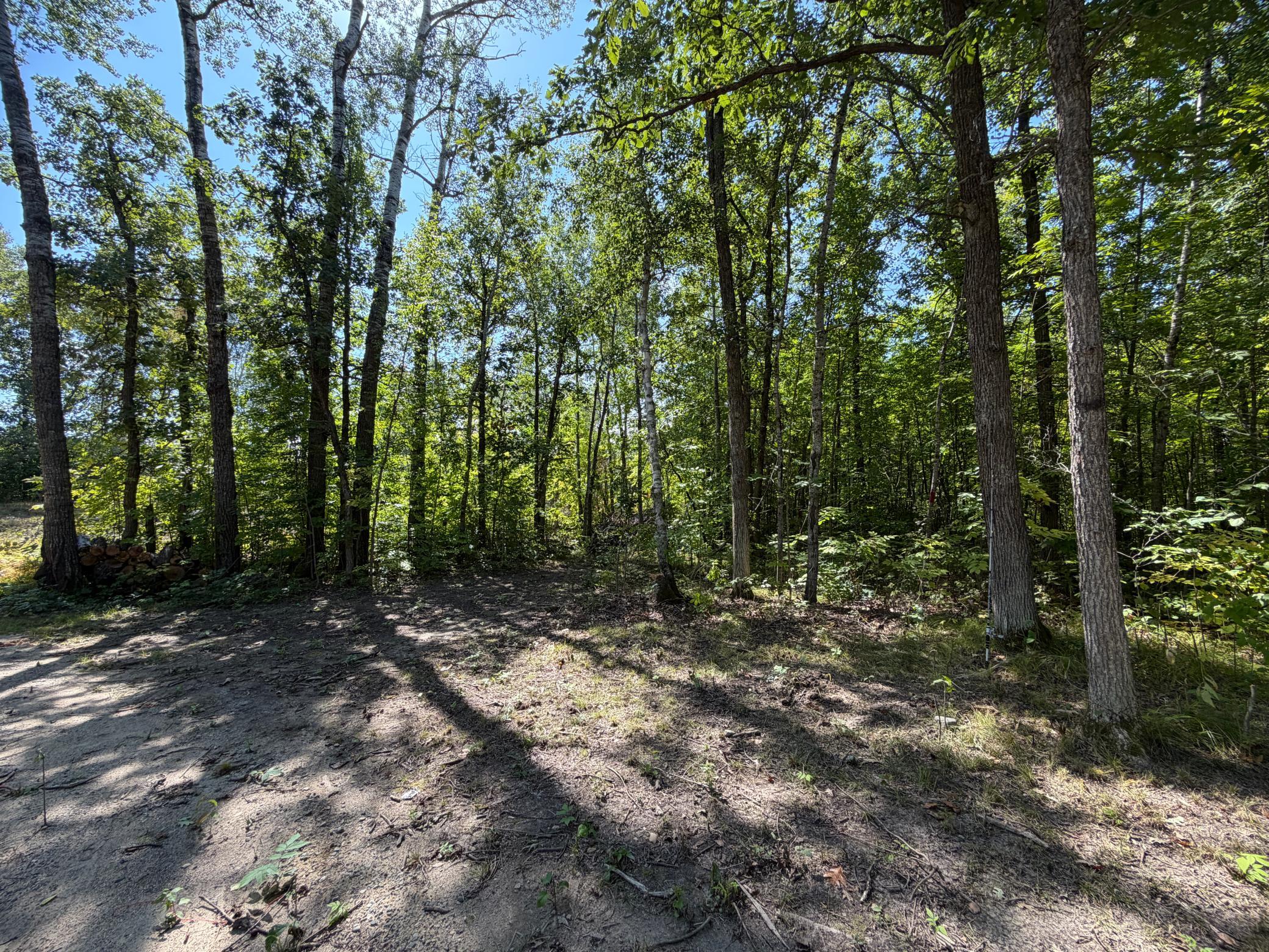 land for sale at 6831 State 34 NW in Akeley, MN (photo 18 of 28)