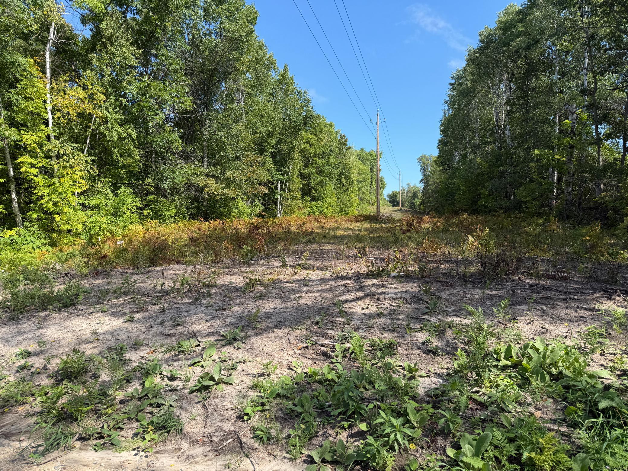 land for sale at 6831 State 34 NW in Akeley, MN (photo 27 of 28)