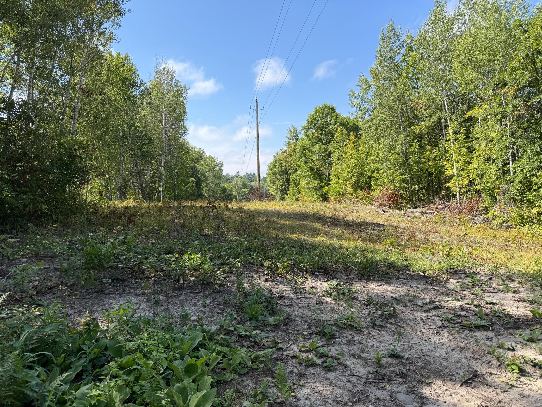 land for sale at 6831 State 34 NW in Akeley, MN (photo 28 of 28)