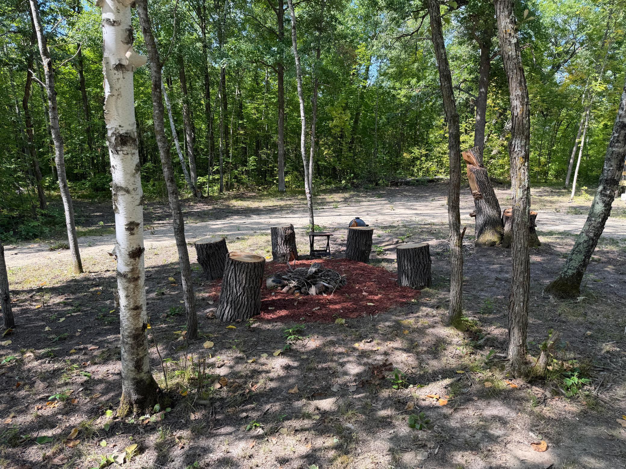 land for sale at 6831 State 34 NW in Akeley, MN (photo 8 of 28)