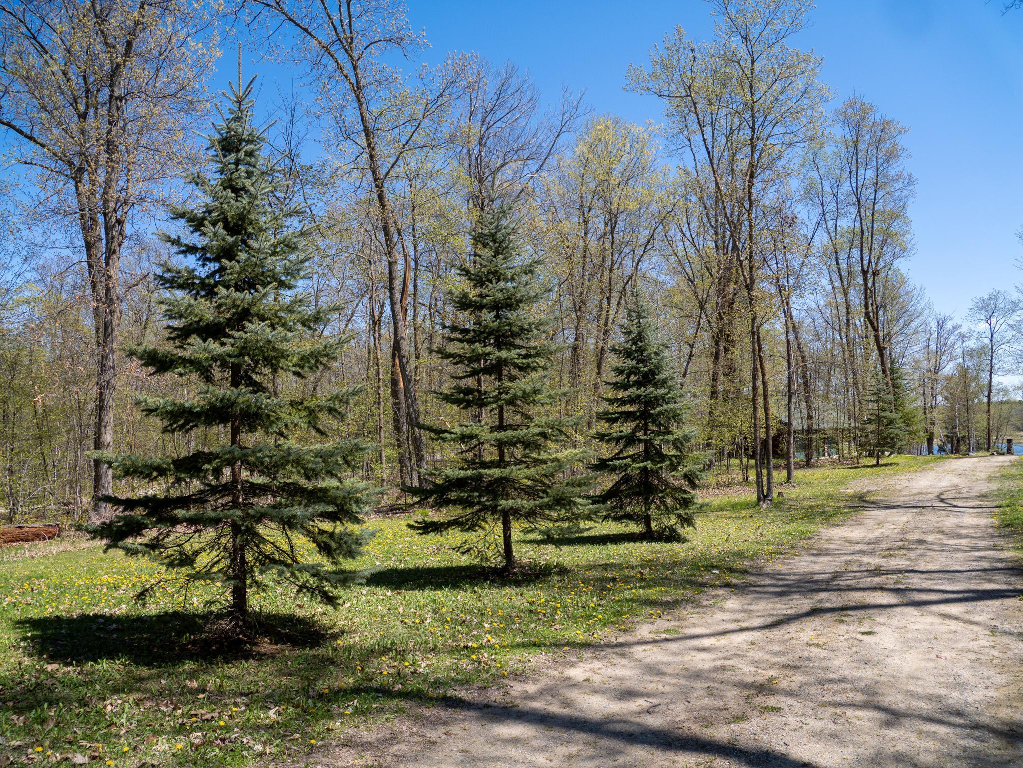 2005 single family home for sale at 7160 Turtle Lake Drive NW in Walker, MN — 0 bed, 1 bath (photo 5 of 26)