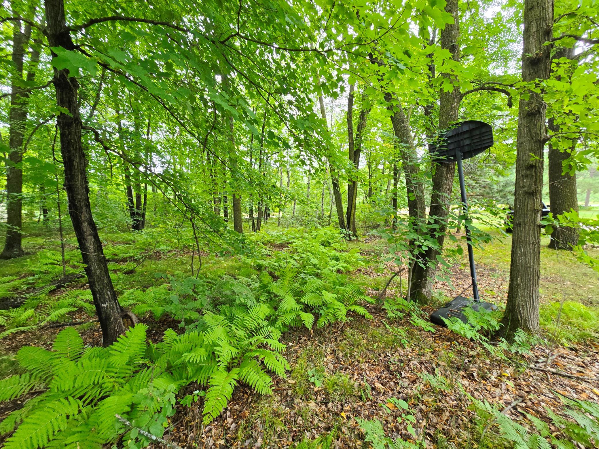 1996 single family home for sale at 16359 County Road 10 in Deerwood, MN — 2 bed, 1 bath (photo 5 of 6)