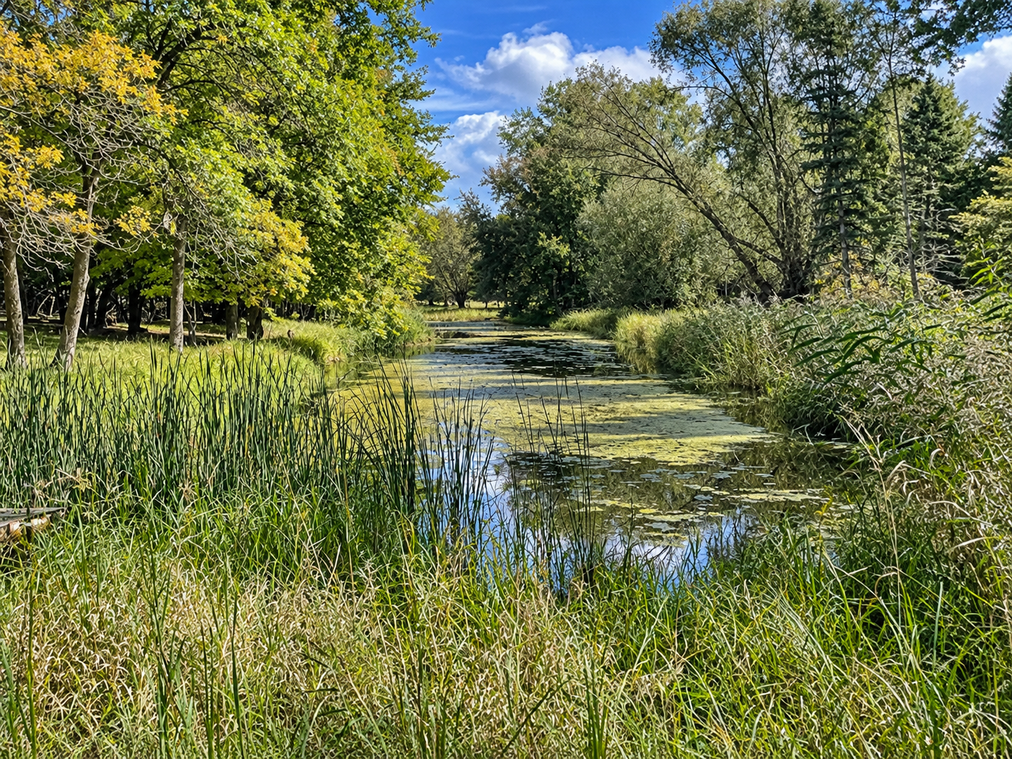 1979 single family home for sale at 27123 Timber Hills Lane in Battle Lake, MN — 2 bed, 2 bath (photo 3 of 10)