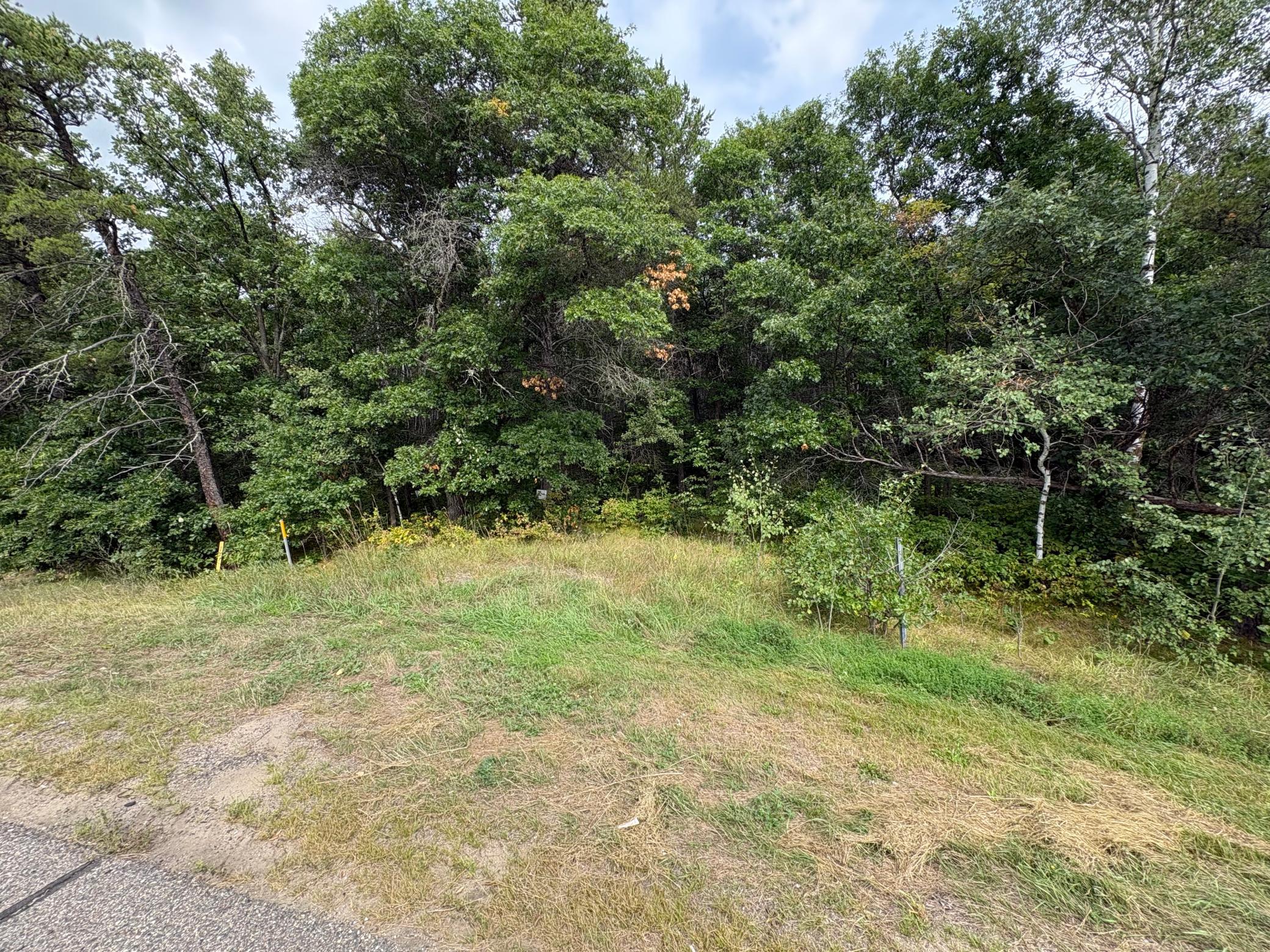 land for sale at TBD State Hwy 371 in Jenkins, MN (photo 2 of 3)