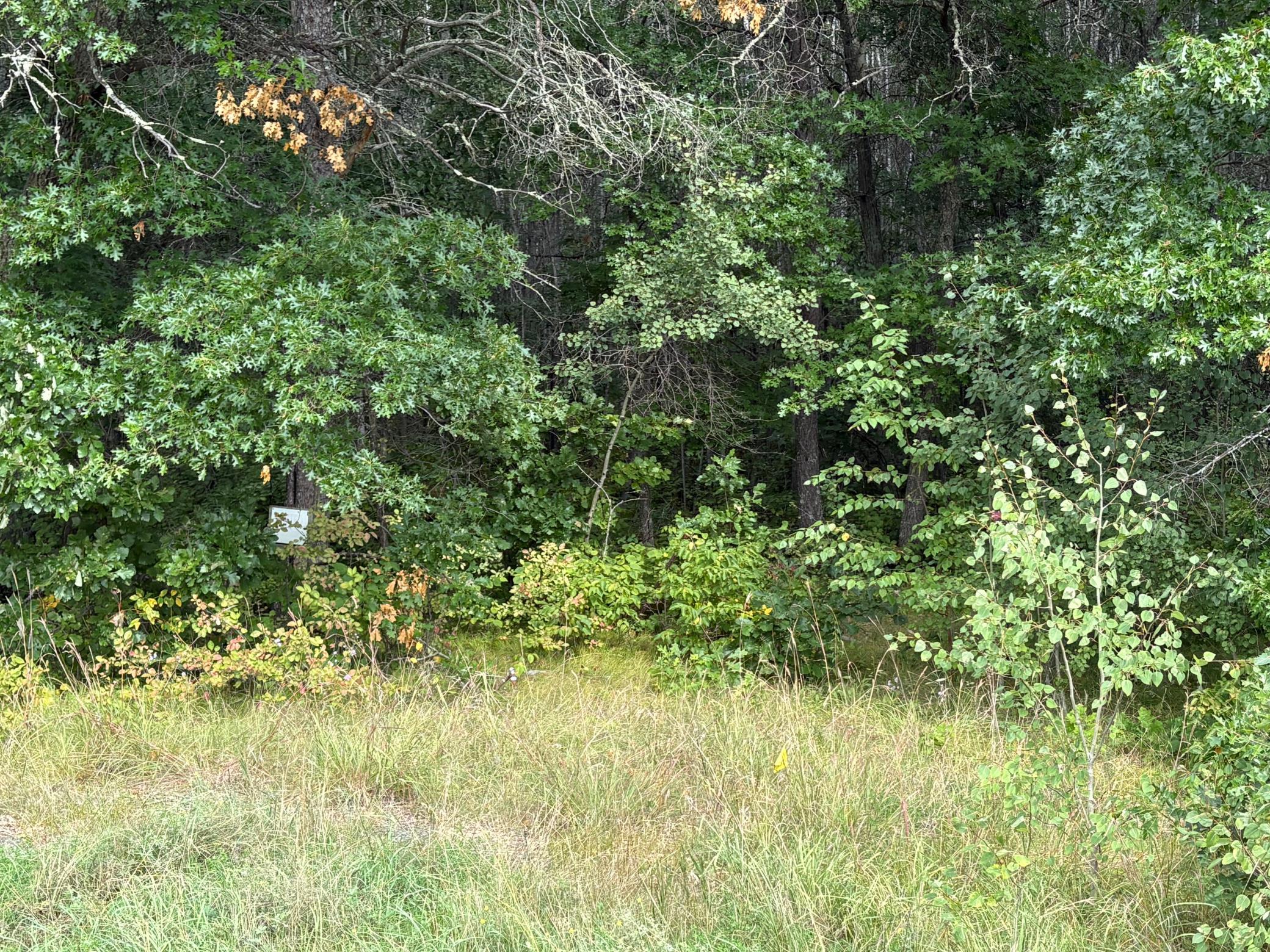 land for sale at TBD State Hwy 371 in Jenkins, MN (photo 3 of 3)