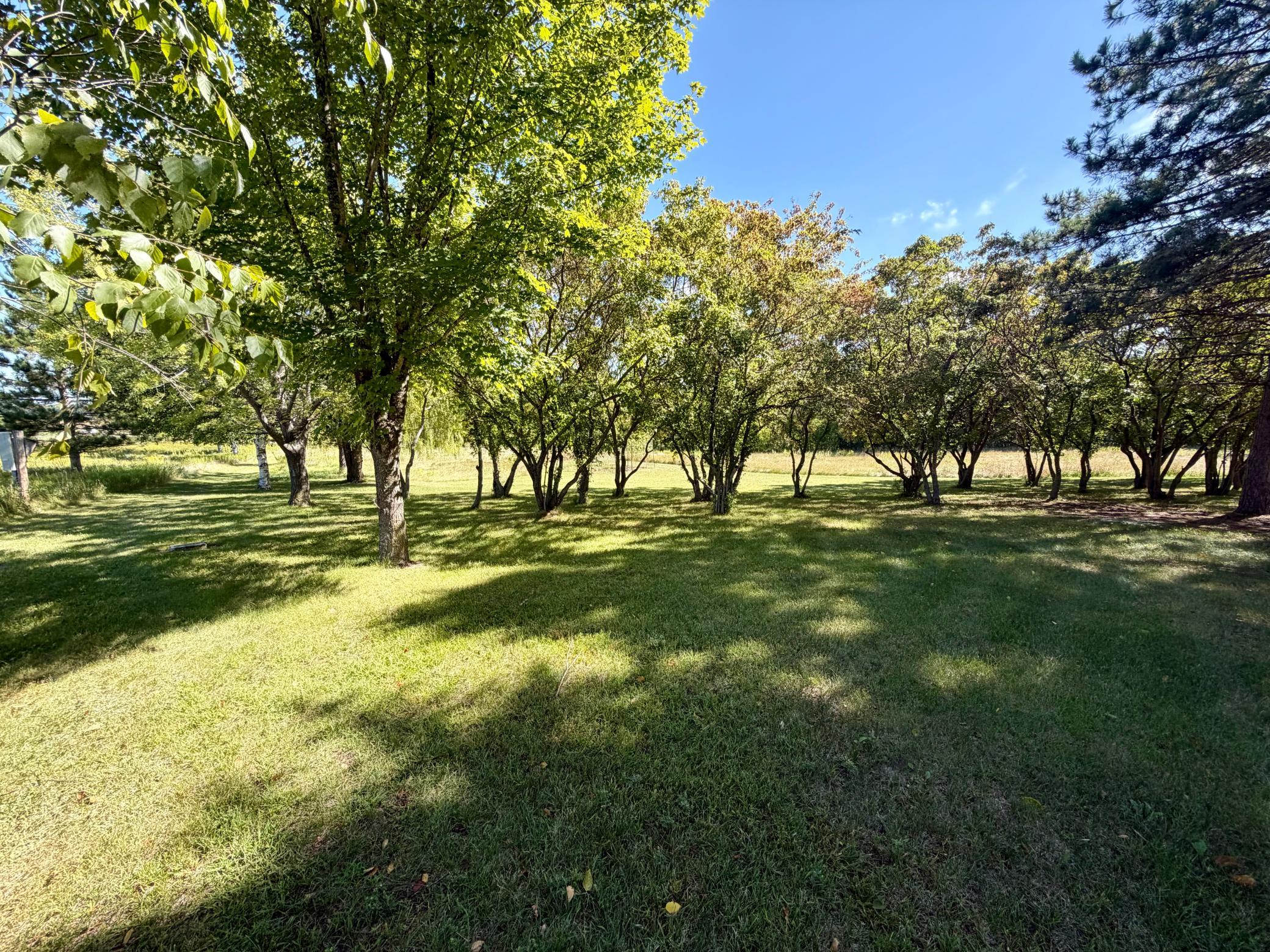 2003 single family home for sale at 14255 County Highway 11 in Audubon, MN — 3 bed, 3 bath (photo 33 of 47)