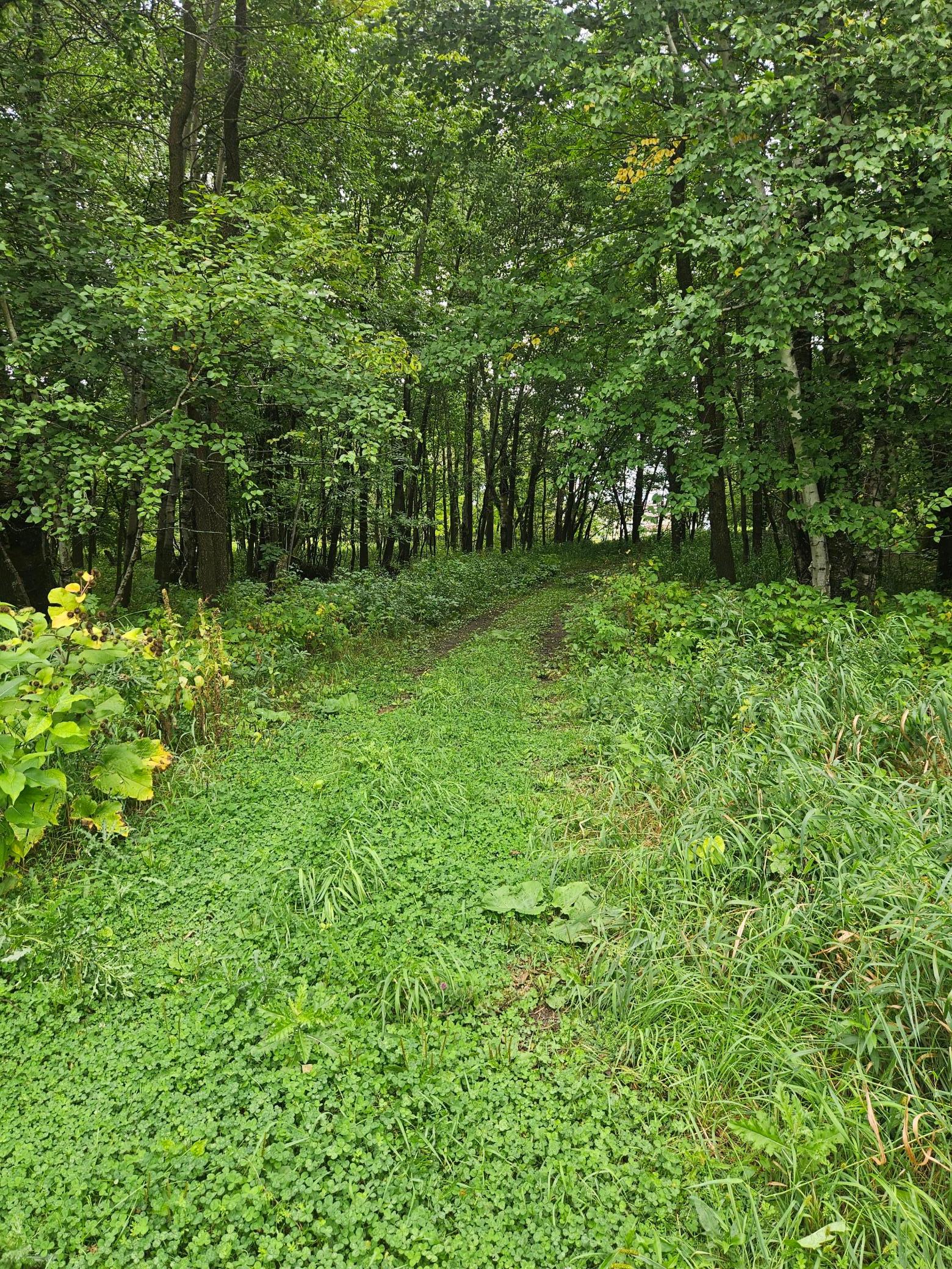 1987 single family home for sale at 6234 Sandy Shores Drive NW in Williams, MN — 3 bed, 3 bath (photo 12 of 16)