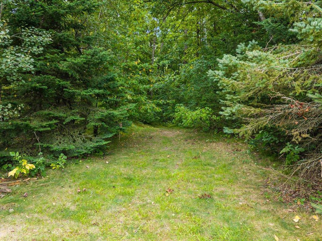 land for sale at TBD 126th Street SW in Motley, MN (photo 17 of 35)