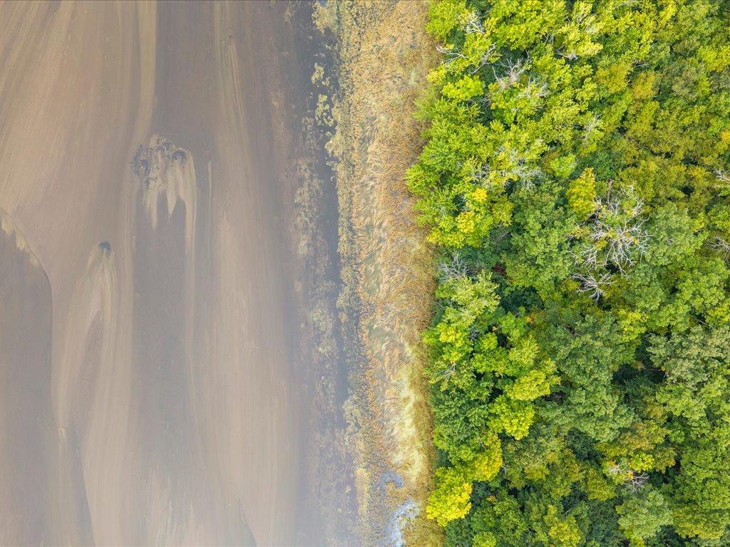 land for sale at TBD 126th Street SW in Motley, MN (photo 20 of 35)