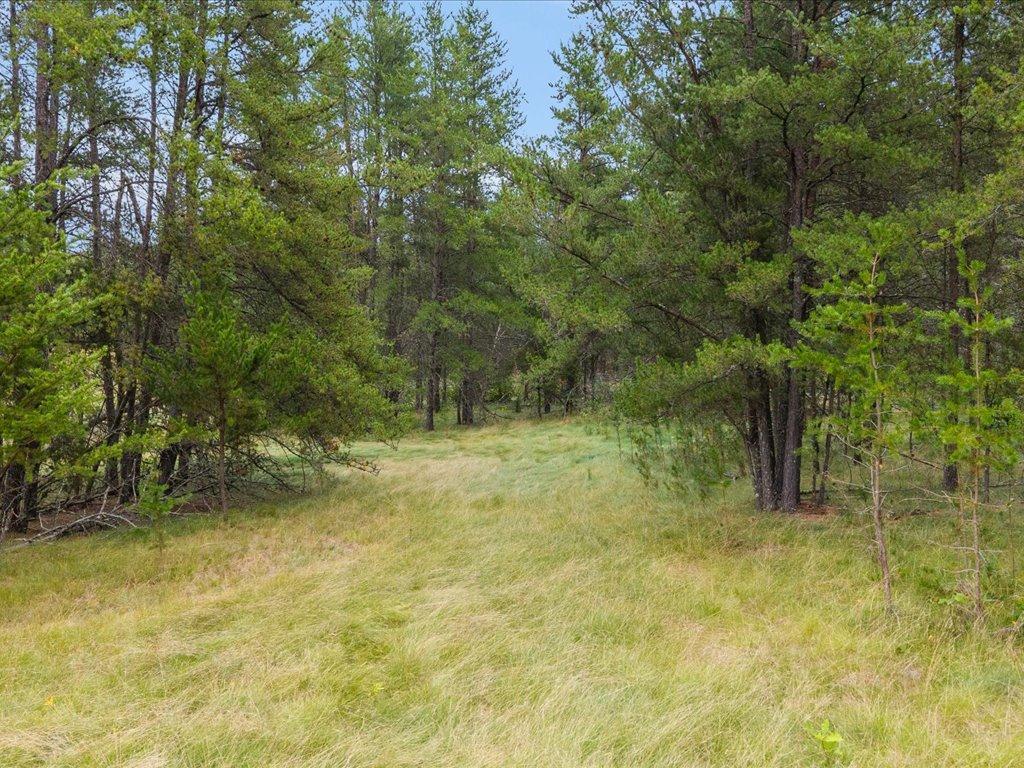 land for sale at TBD 126th Street SW in Motley, MN (photo 27 of 35)