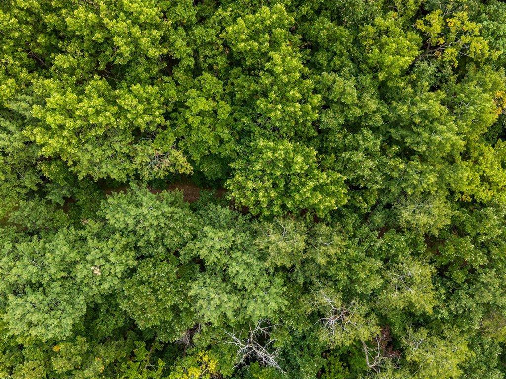 land for sale at TBD 126th Street SW in Motley, MN (photo 35 of 35)
