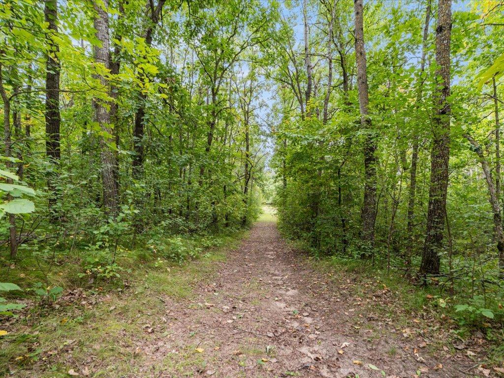 land for sale at TBD 126th Street SW in Motley, MN (photo 7 of 35)
