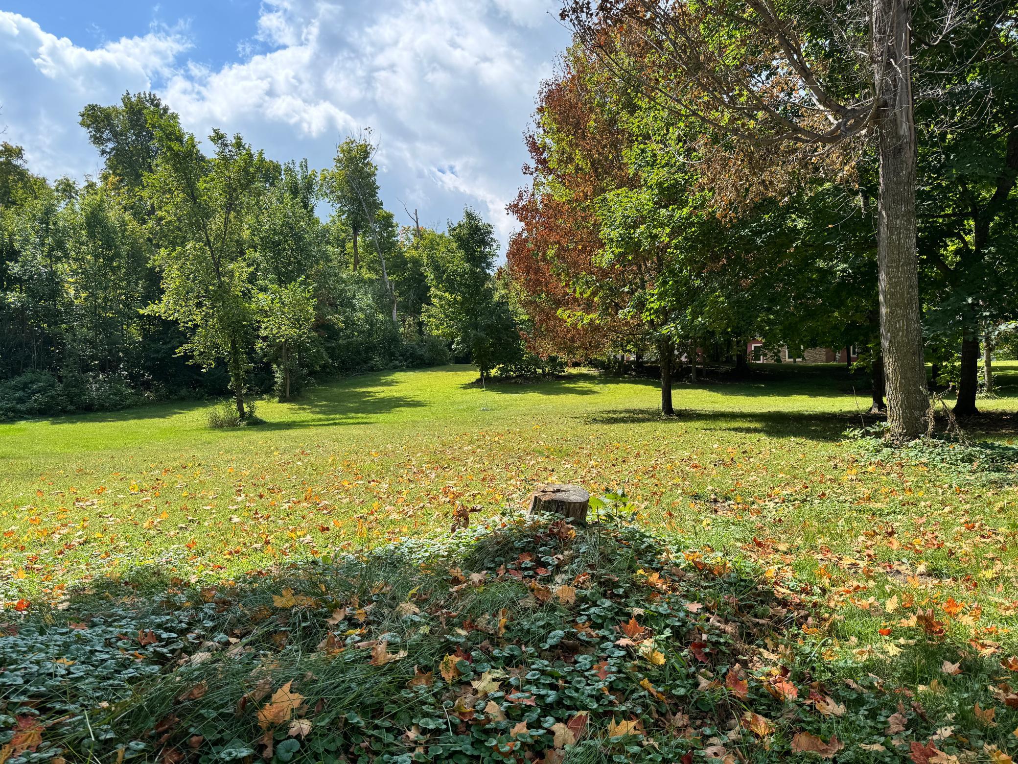 land for sale at XXX 365th Street in Ottertail, MN (photo 11 of 24)