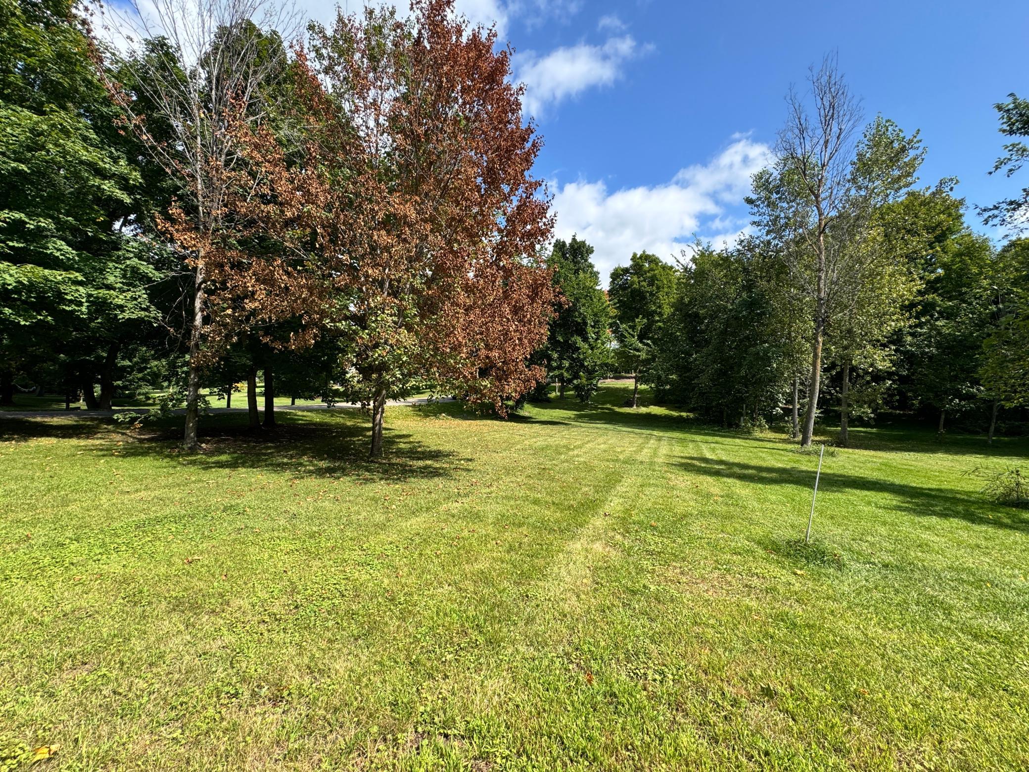 land for sale at XXX 365th Street in Ottertail, MN (photo 17 of 24)