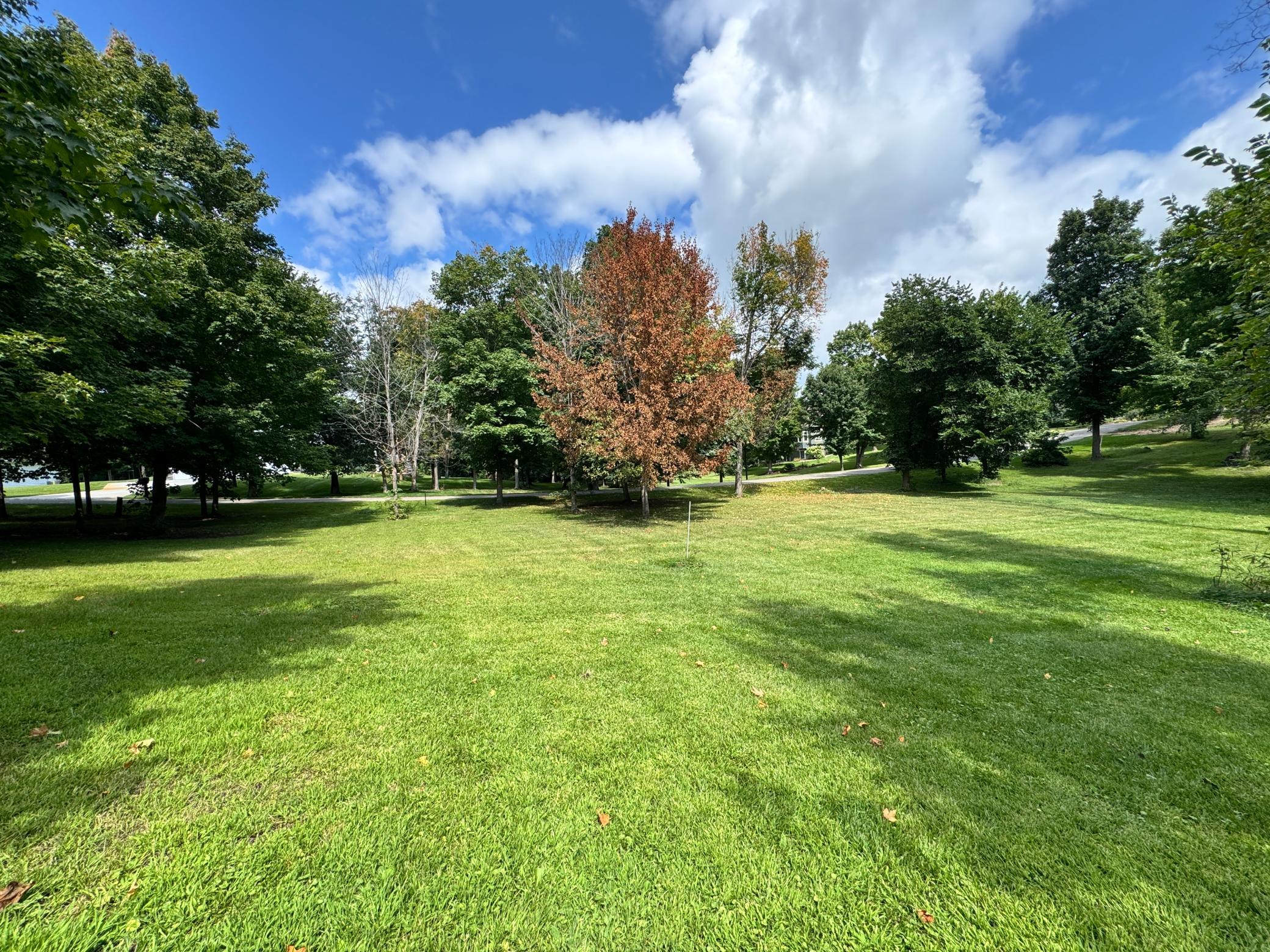 land for sale at XXX 365th Street in Ottertail, MN (photo 18 of 24)