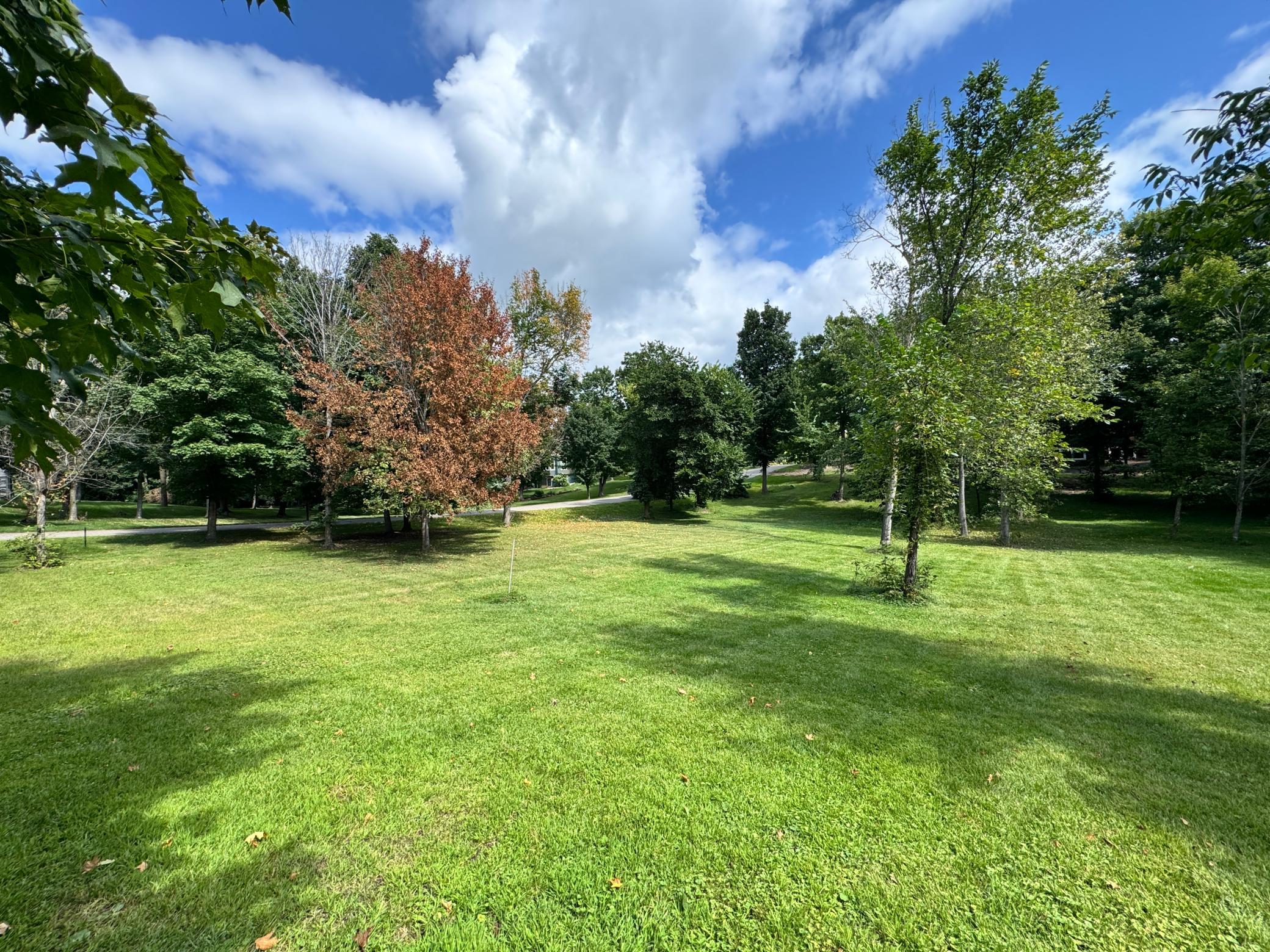 land for sale at XXX 365th Street in Ottertail, MN (photo 19 of 24)