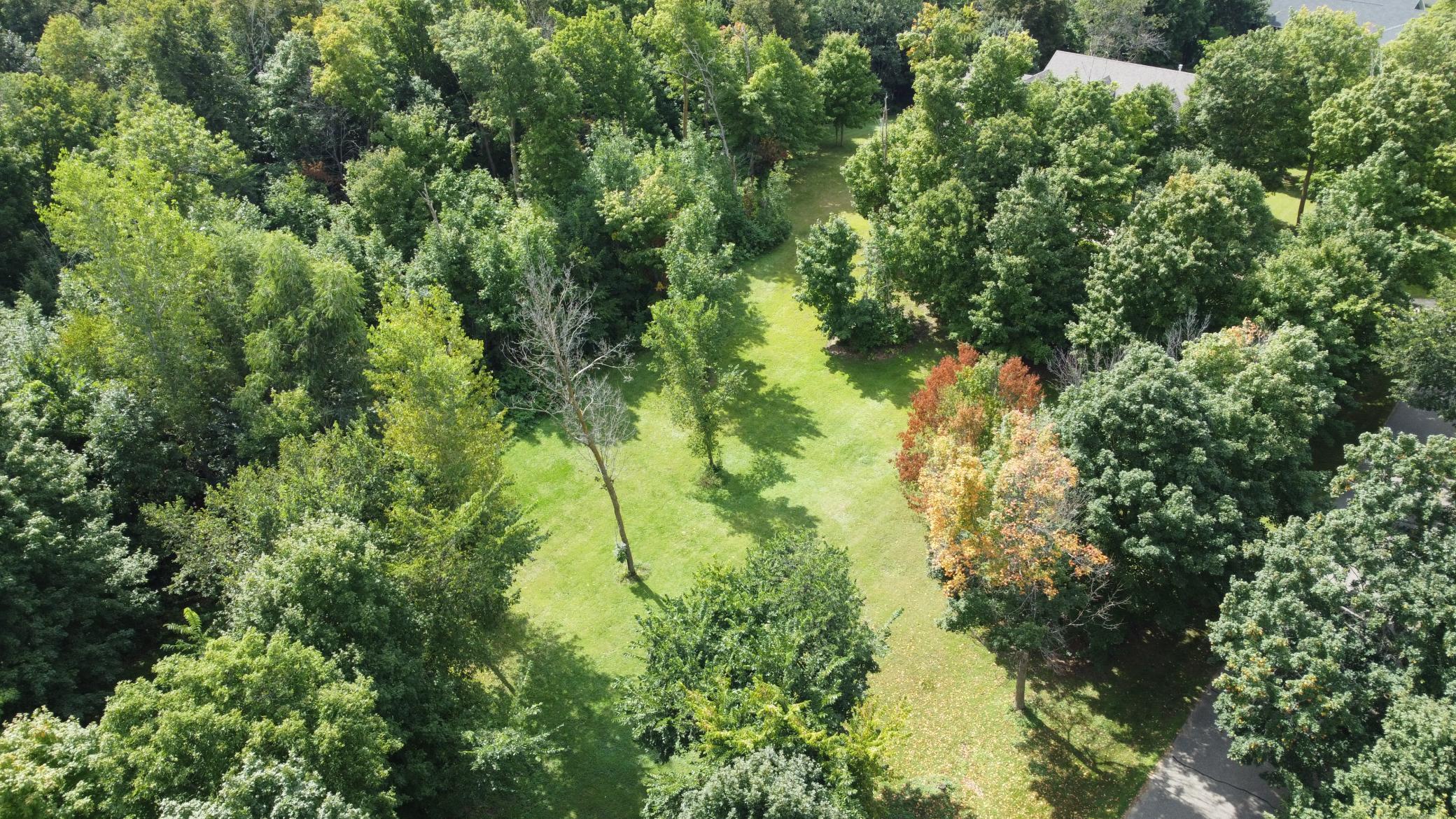 land for sale at XXX 365th Street in Ottertail, MN (photo 5 of 24)