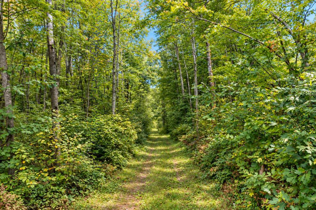 land for sale at TBD 76th Street SW in Pequot Lakes, MN (photo 12 of 12)