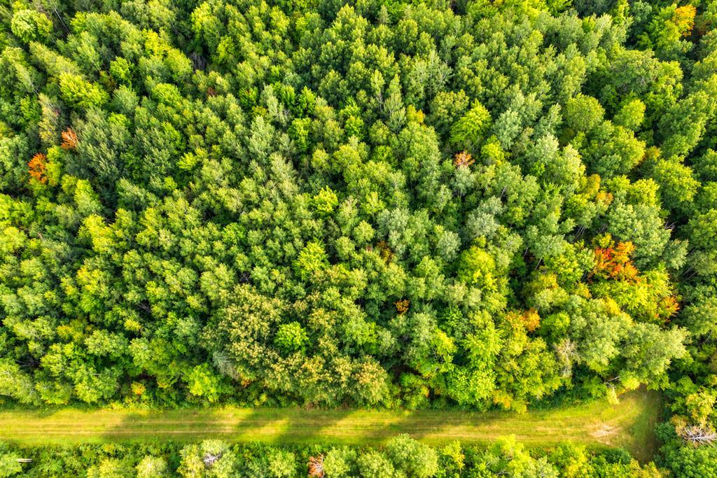 land for sale at TBD 76th Street SW in Pequot Lakes, MN (photo 3 of 12)