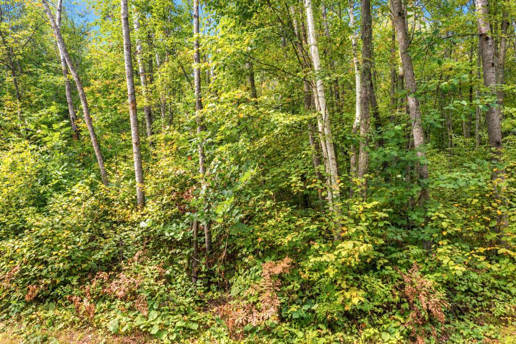 land for sale at TBD 76th Street SW in Pequot Lakes, MN (photo 5 of 12)