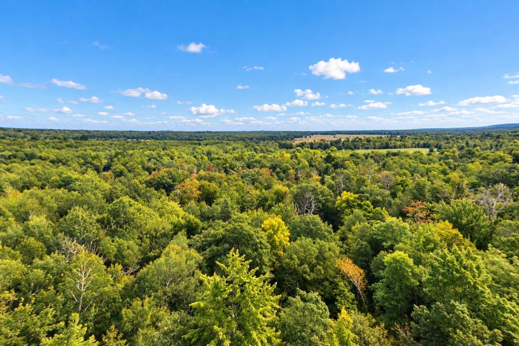land for sale at TBD 76th Street SW in Pequot Lakes, MN (photo 6 of 12)