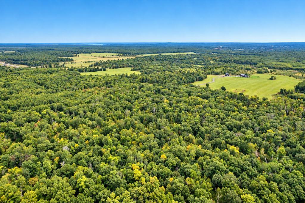 land for sale at TBD 76th Street SW in Pequot Lakes, MN (photo 8 of 12)