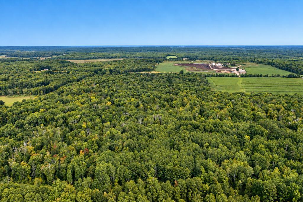land for sale at TBD 76th Street SW in Pequot Lakes, MN (photo 10 of 12)