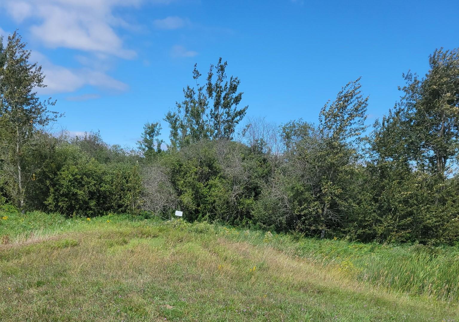 land for sale at TBD 48th Street NW in Williams, MN (photo 3 of 4)