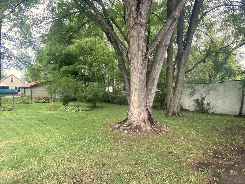 1902 single family home for sale at 709 6th Avenue NE in Brainerd, MN — 3 bed, 1 bath (photo 14 of 18)