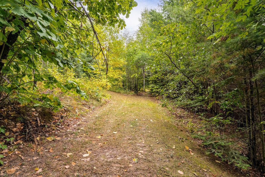1950 single family home for sale at 34812 E County Road 218 in Grand Rapids, MN — 3 bed, 3 bath (photo 52 of 59)