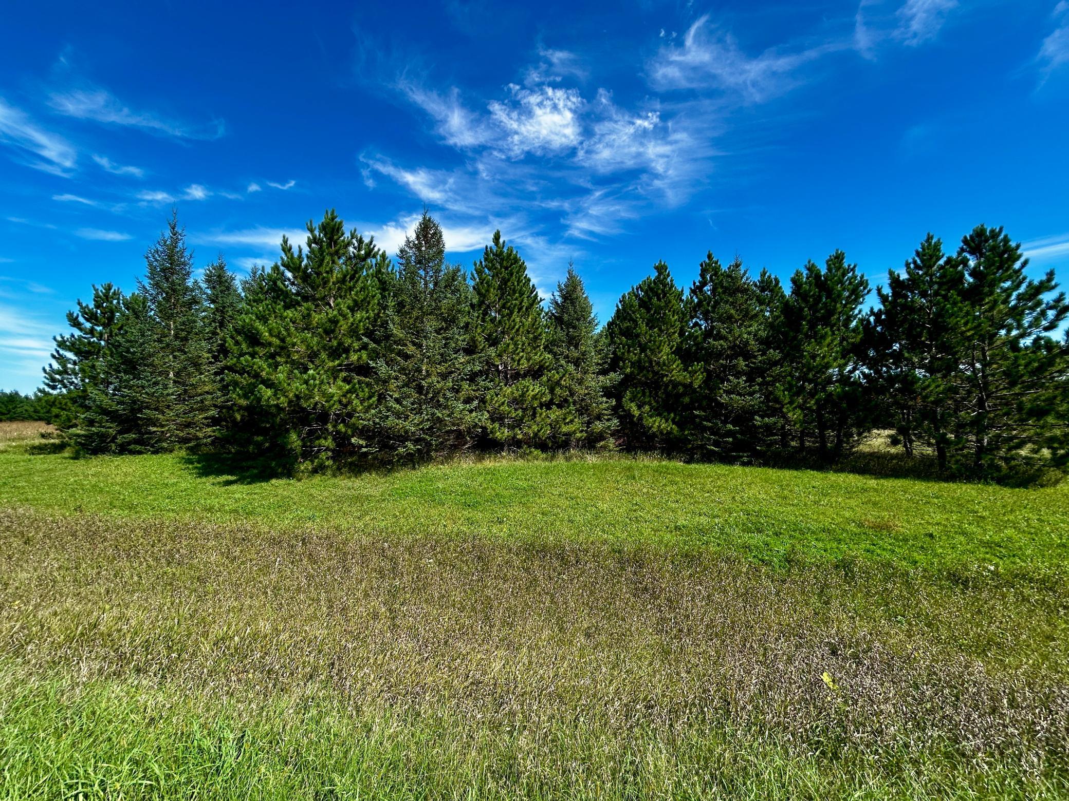 land for sale at TBD 560th in New York Mills, MN (photo 2 of 5)
