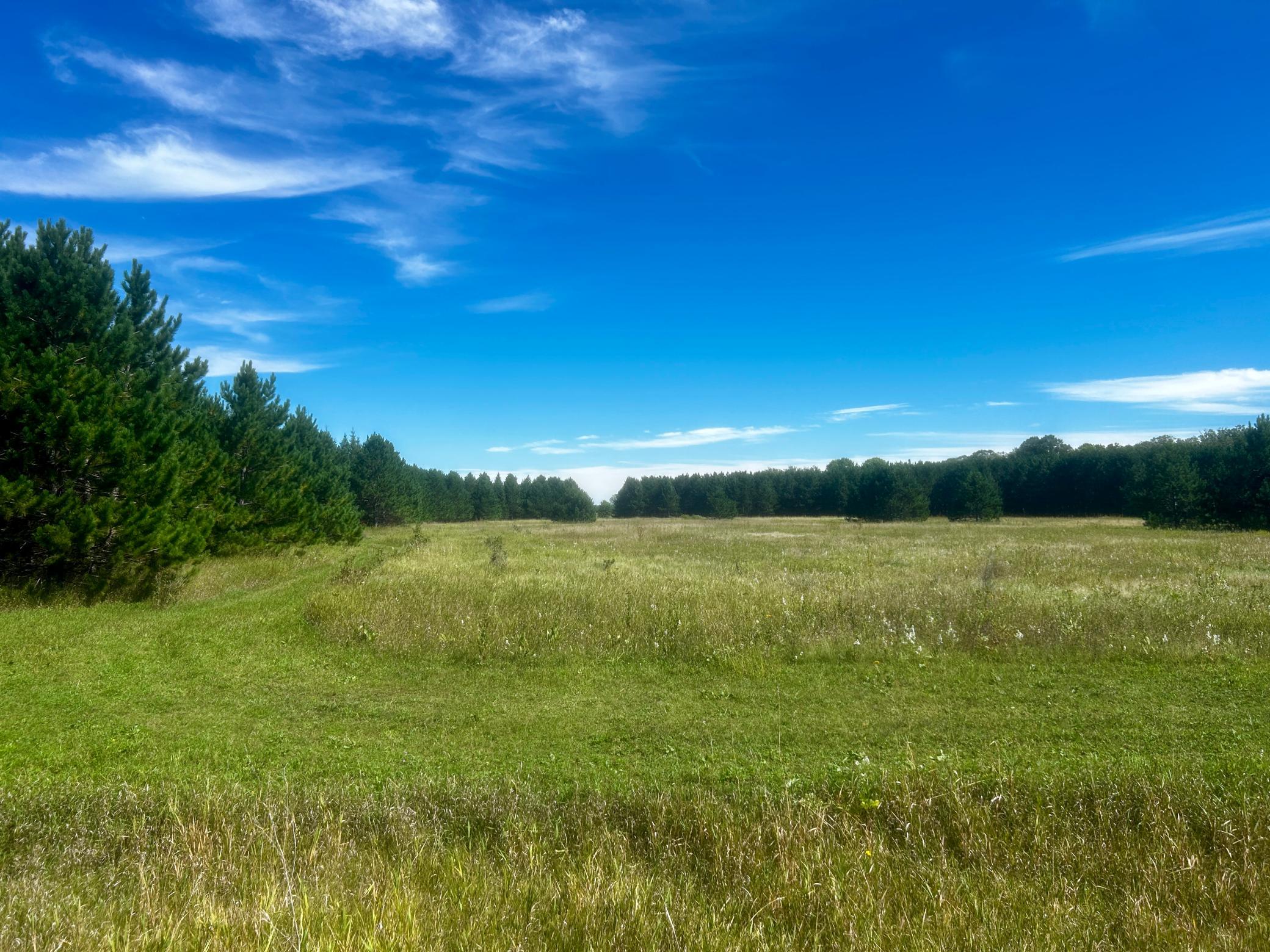 land for sale at TBD 560th in New York Mills, MN (photo 5 of 5)