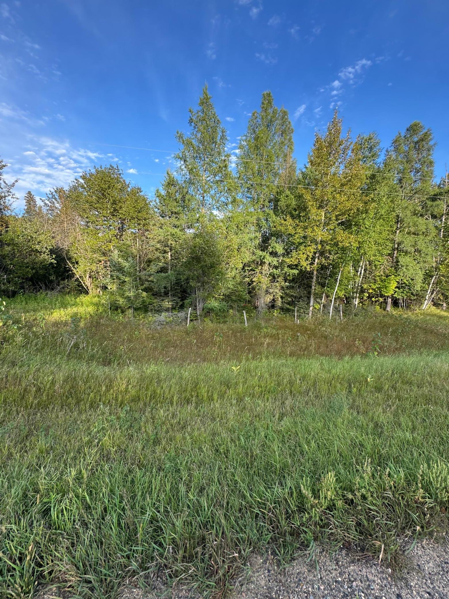 land for sale at TBD Gull Lake Loop Road in Hines, MN