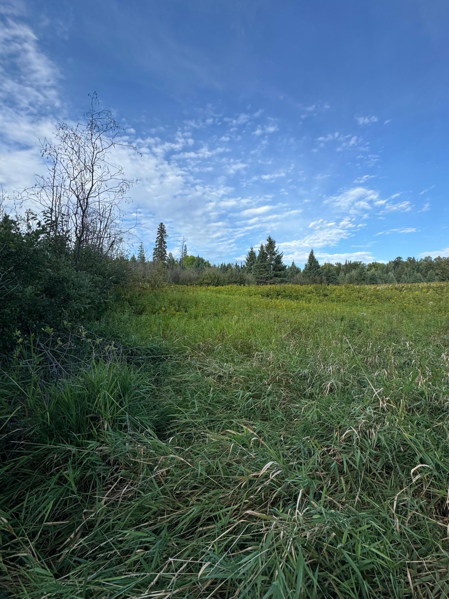 land for sale at TBD Gull Lake Loop Road in Hines, MN (photo 4 of 7)
