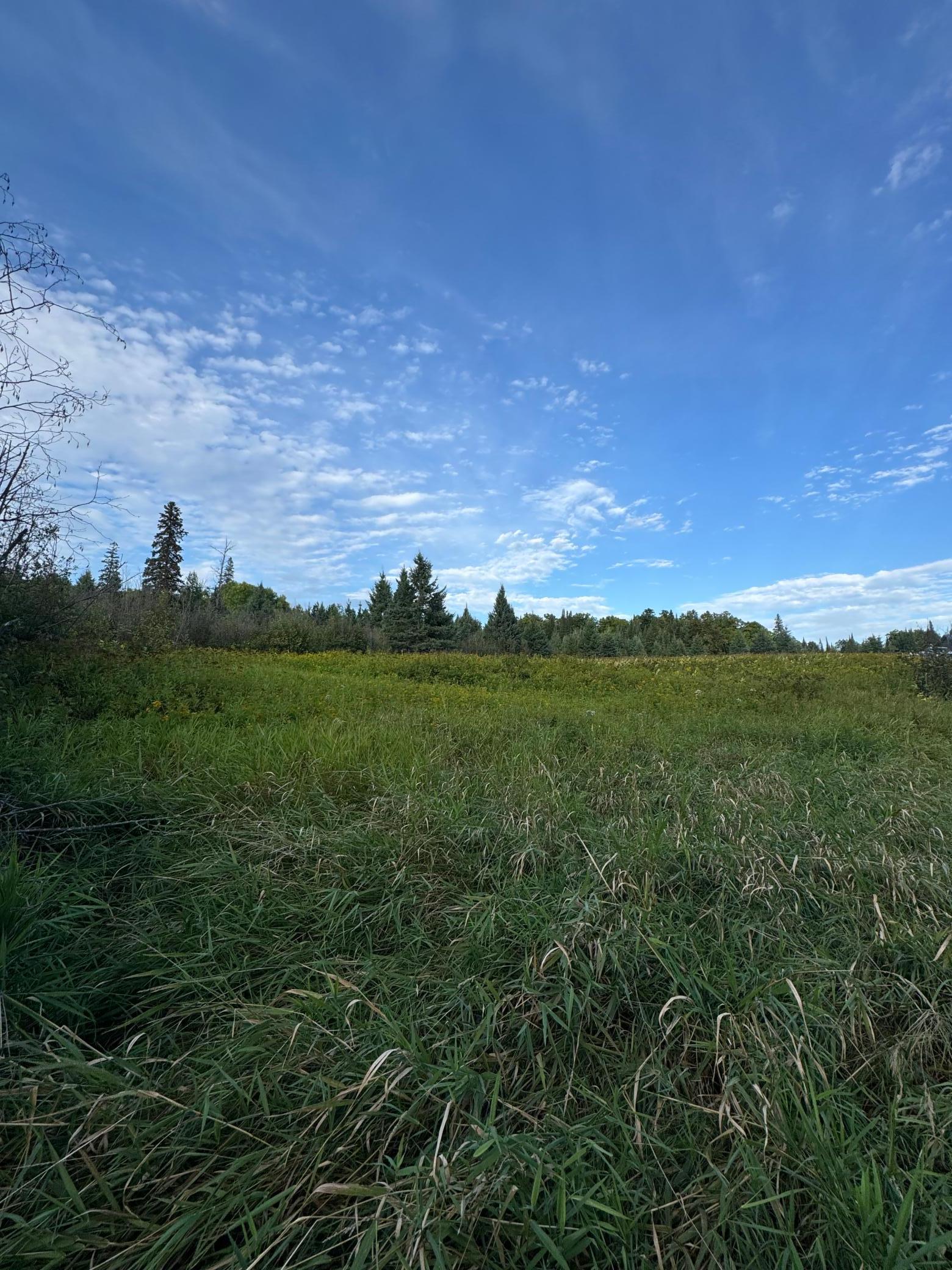 land for sale at TBD Gull Lake Loop Road in Hines, MN (photo 5 of 7)
