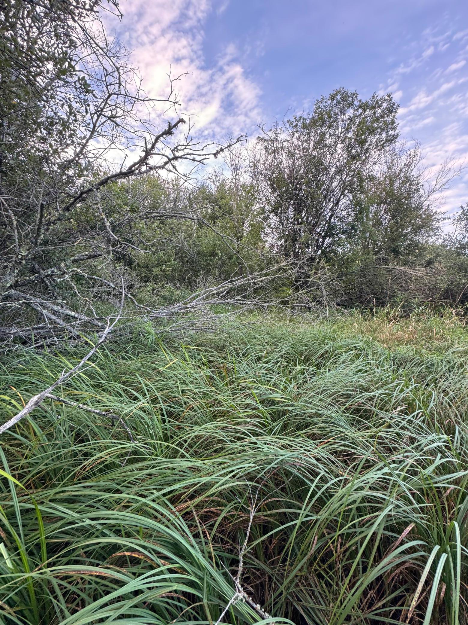 land for sale at TBD Gull Lake Loop Road in Hines, MN (photo 6 of 7)