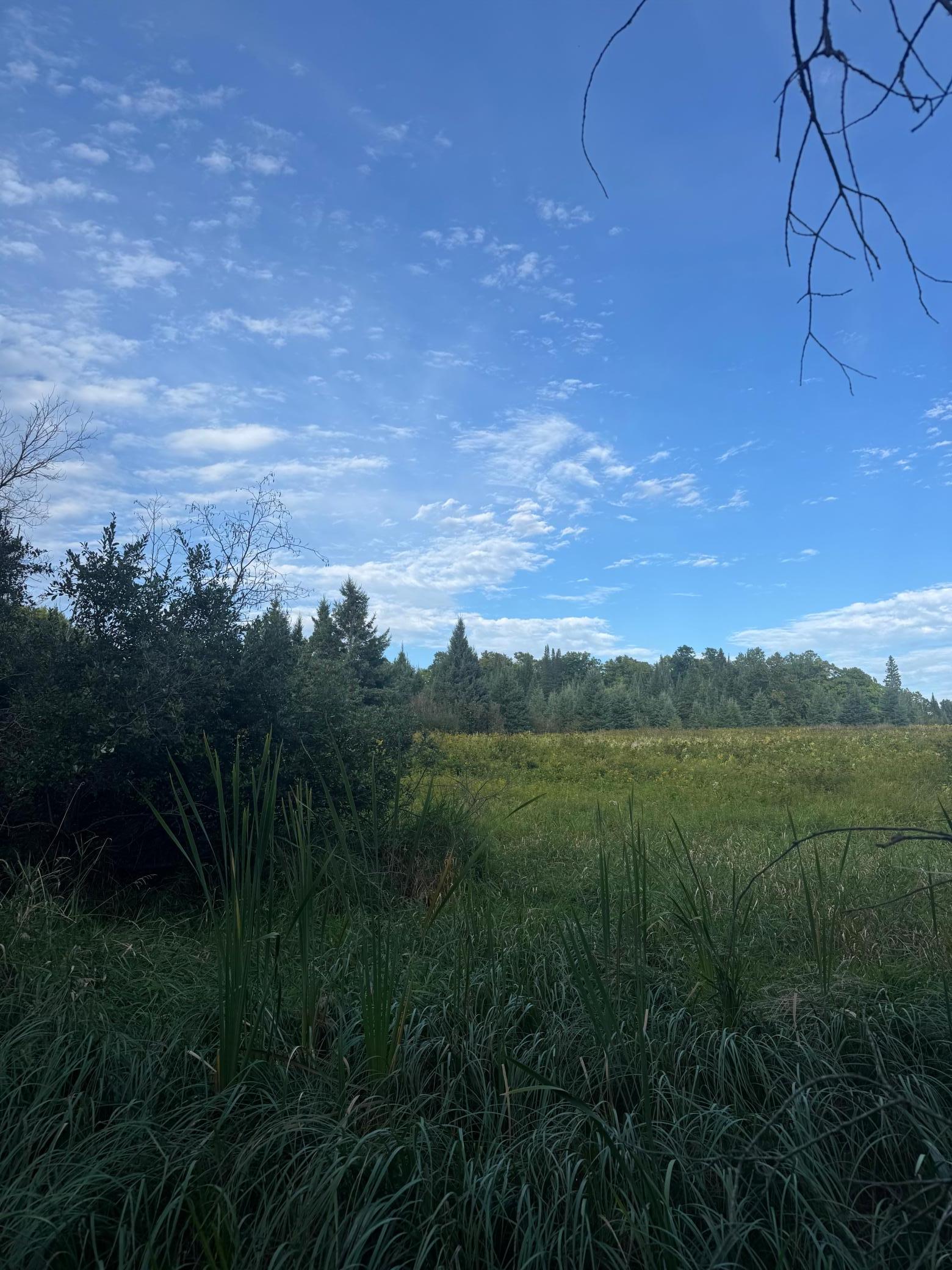 land for sale at TBD Gull Lake Loop Road in Hines, MN (photo 7 of 7)