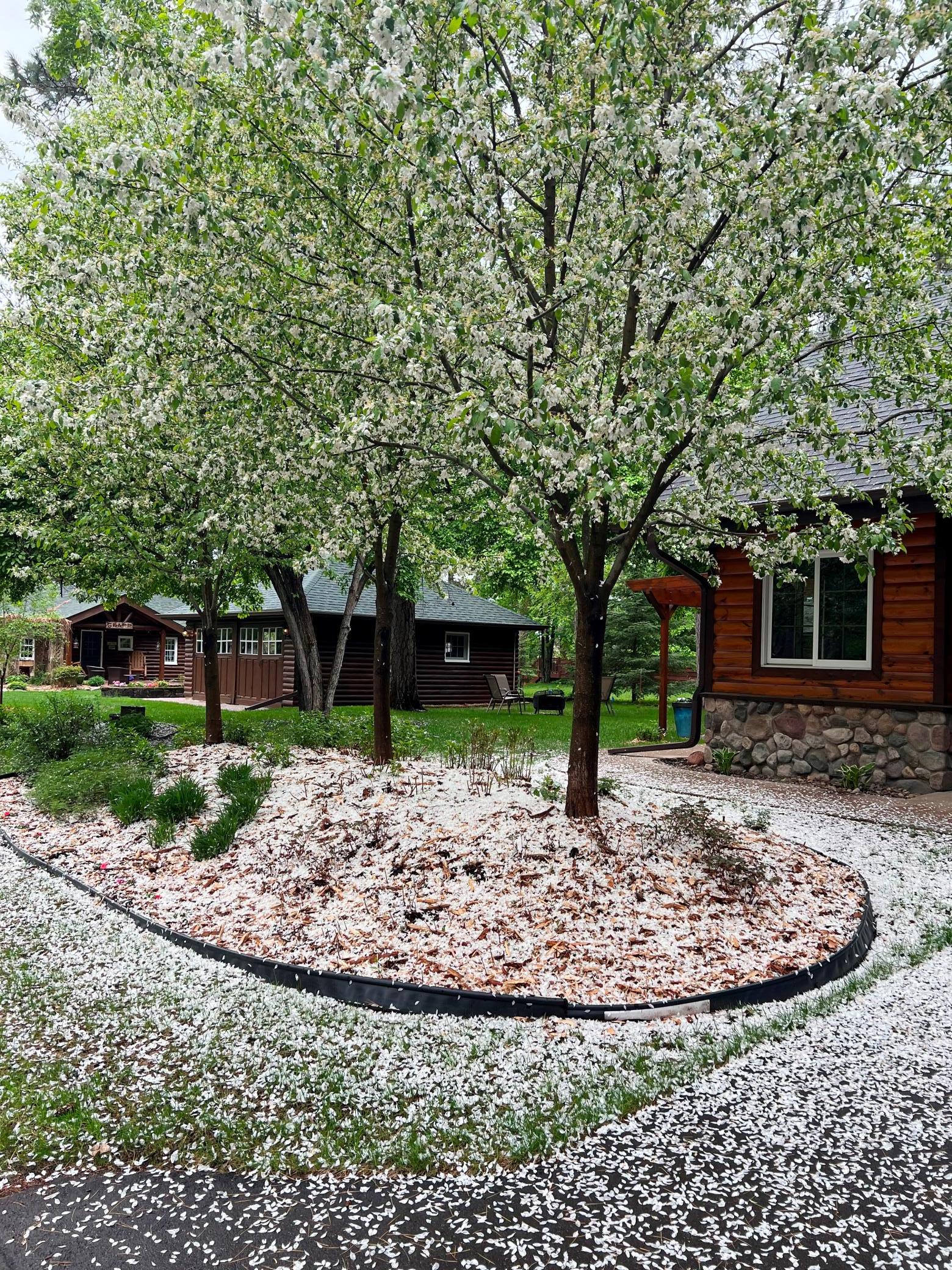 1910 single family home for sale at 3754 W Lake Street in Pequot Lakes, MN — 3 bed, 2 bath (photo 58 of 64)
