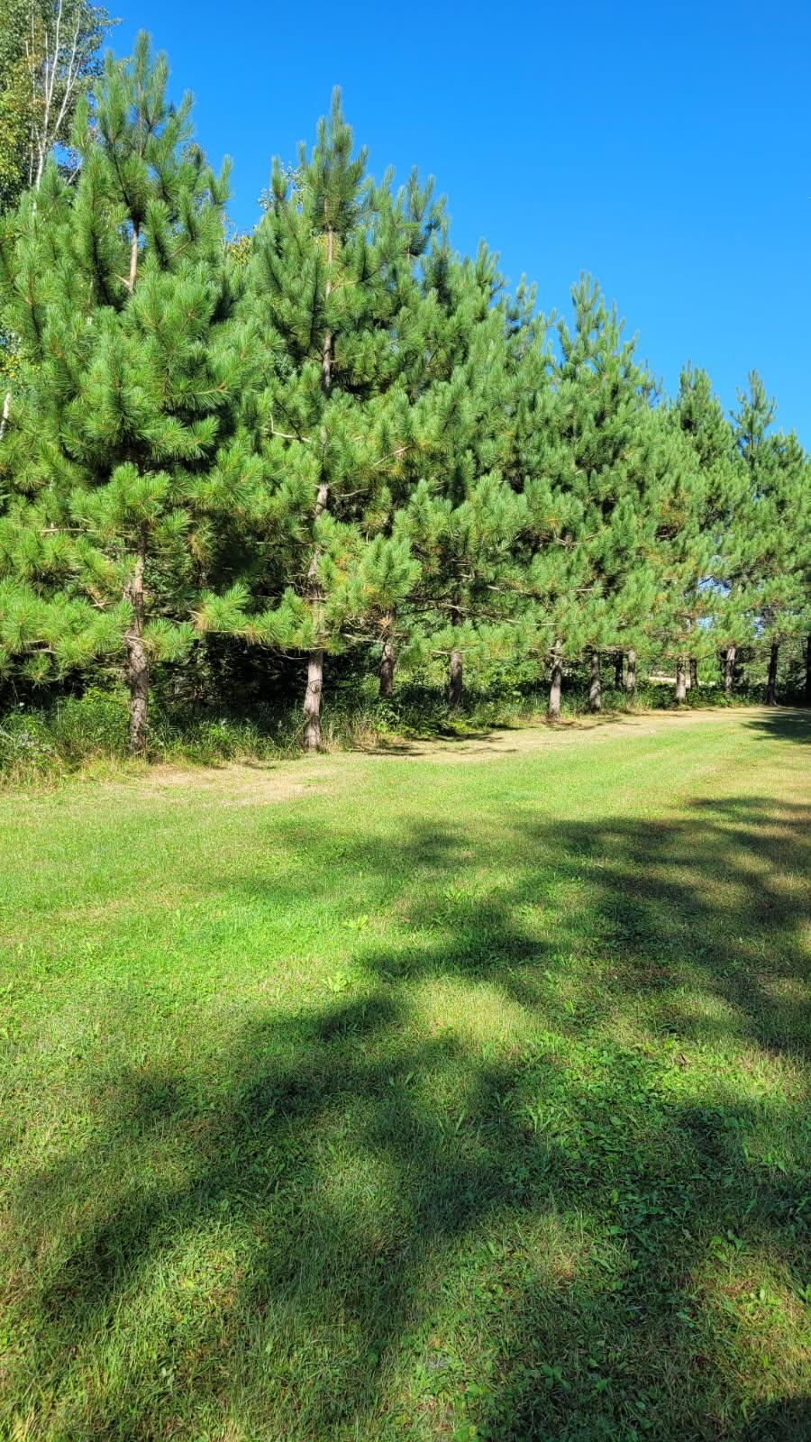 1955 single family home for sale at 1393 Cottonwood Trail SW in Pine River, MN — 3 bed, 0 bath (photo 2 of 9)